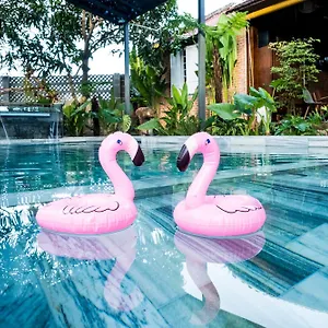 Homestay Eco House, Phan Thiet